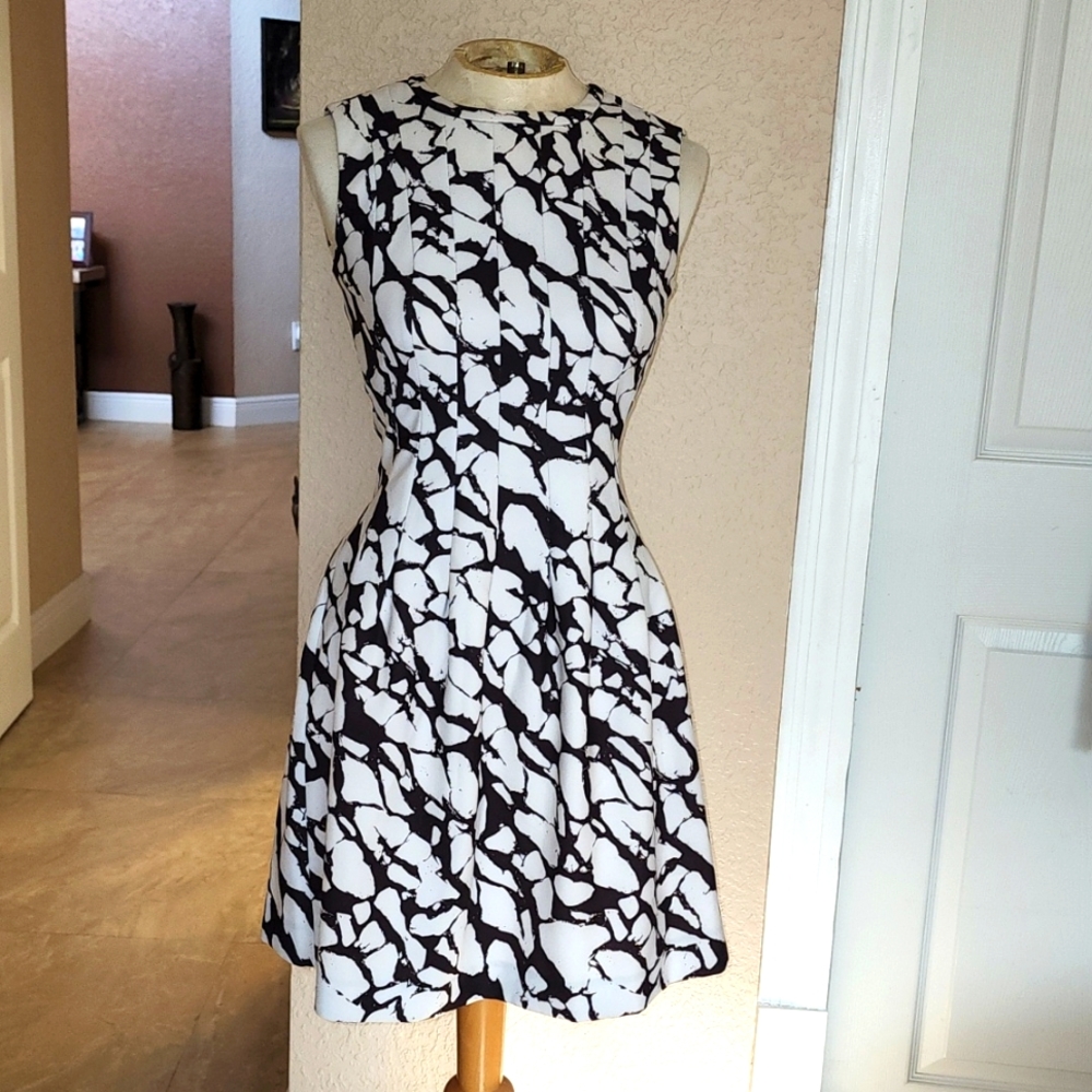 Skater Dress